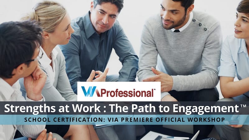 VIA Official Program certification