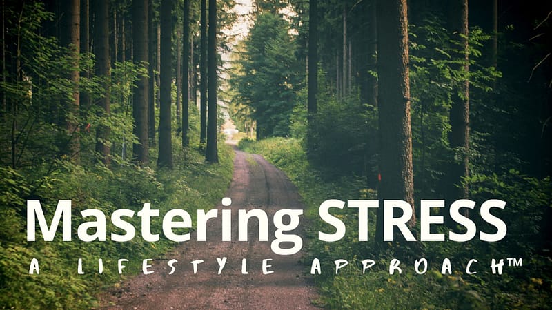 Mastering Stress Workshop for leaders and teams WunderTraining