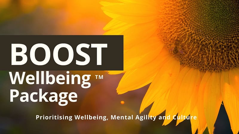 Boost wellbeing package. Wundertraining POwer Packages, Team building, Leadership, jane Wundersitz