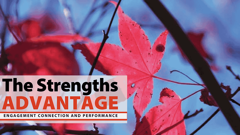 The Strengths Advantage by WunderTraining, Strengths-based Leadership in Australia